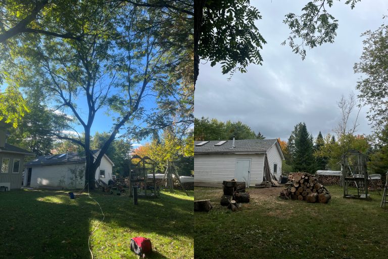 Max Trees — stump grinding in Ottawa