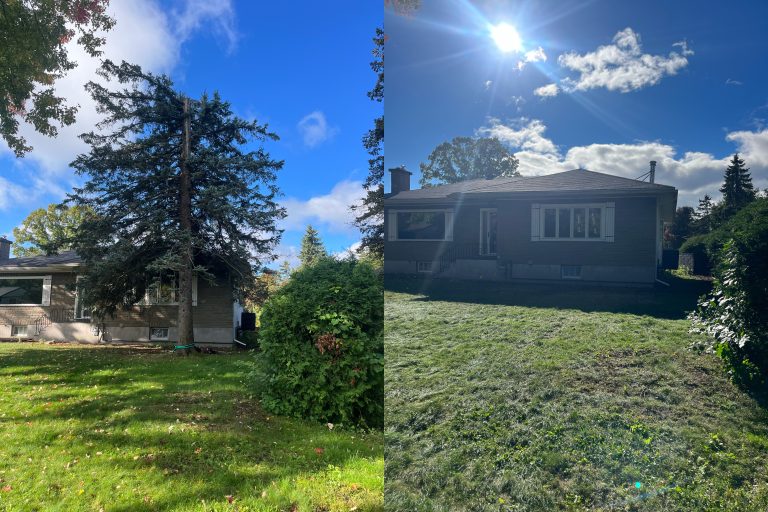 Max Trees — storm damage cleanup in Ottawa