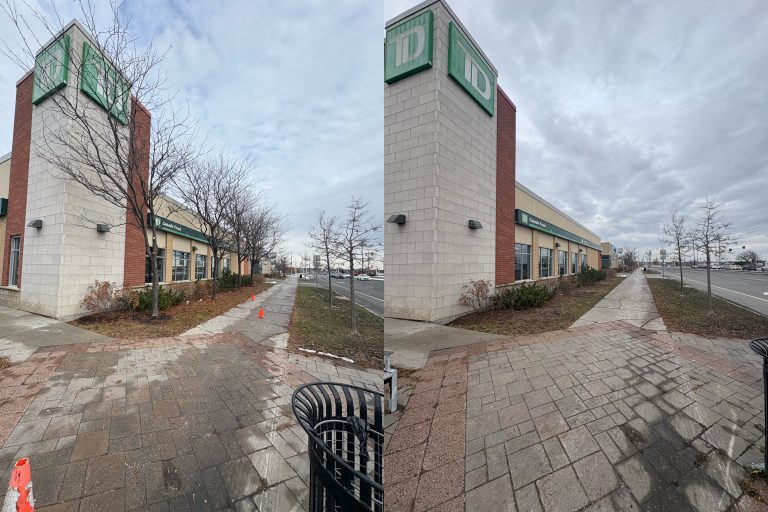 Max Trees — yard tree work in Ottawa