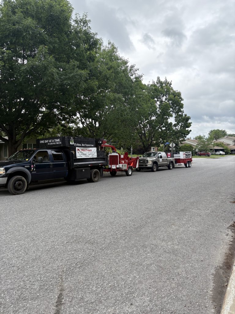Wood chipper truck on site in Stittsville by Max Trees
