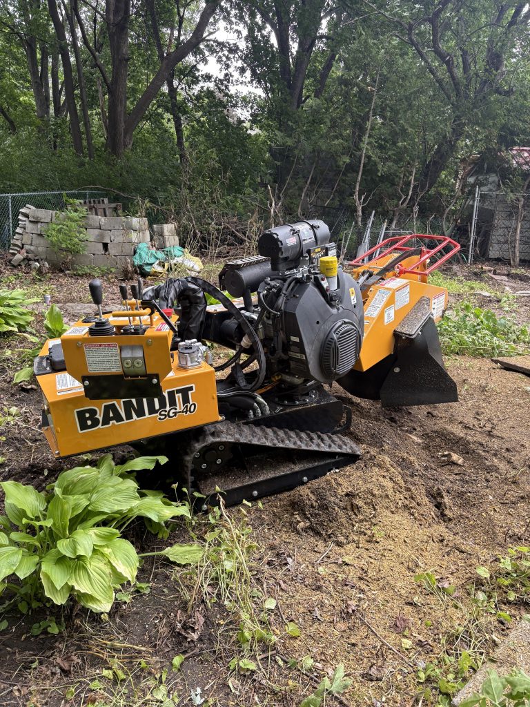 Stump grinding among garden plants in Nepean by Max Trees