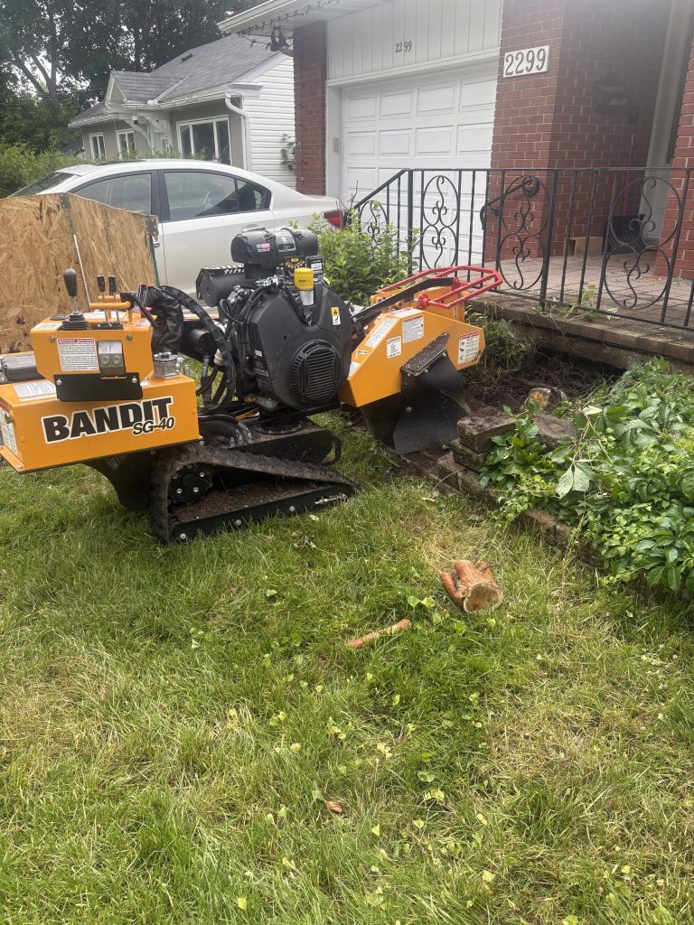 Stump grinding in a driveway in Orléans by Max Trees