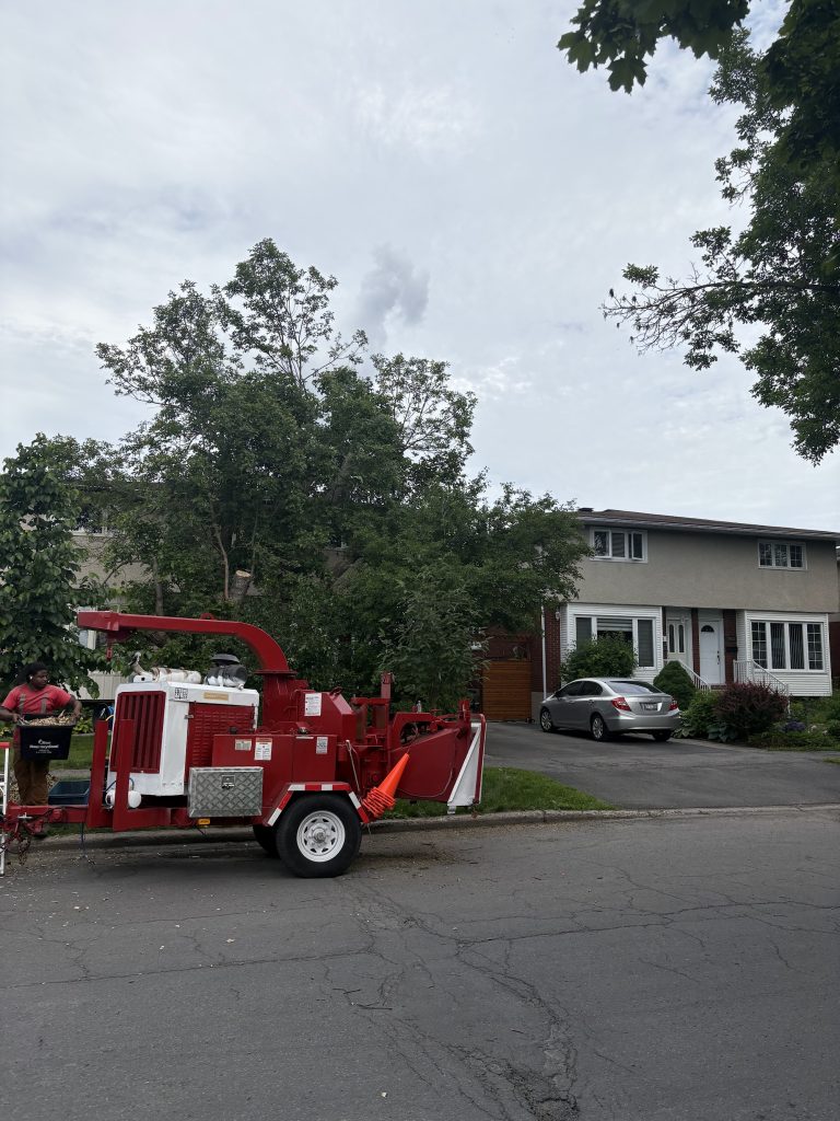 Max Trees wood chipper truck in Barrhaven by Max Trees