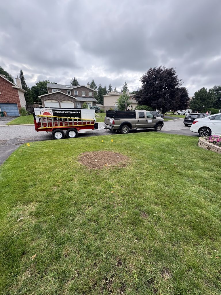 Tree service truck and trailer in Rockland by Max Trees