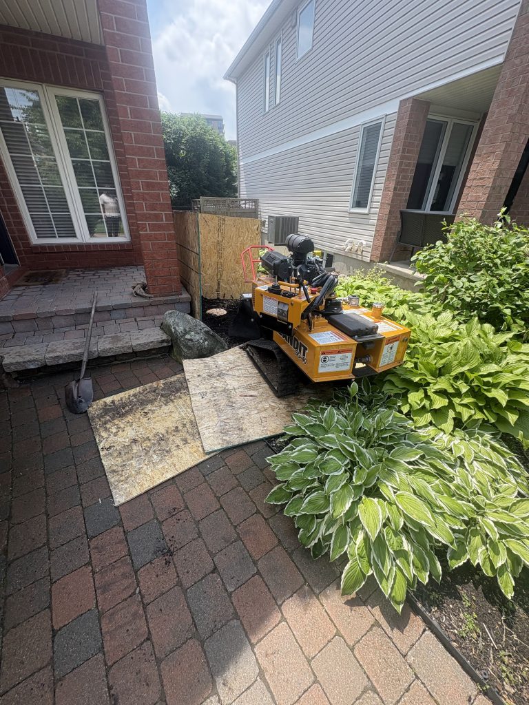 Stump grinding in a garden bed in Kemptville by Max Trees