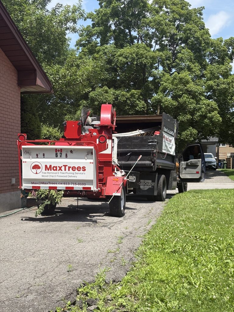 Max Trees chipper truck in Ottawa by Max Trees