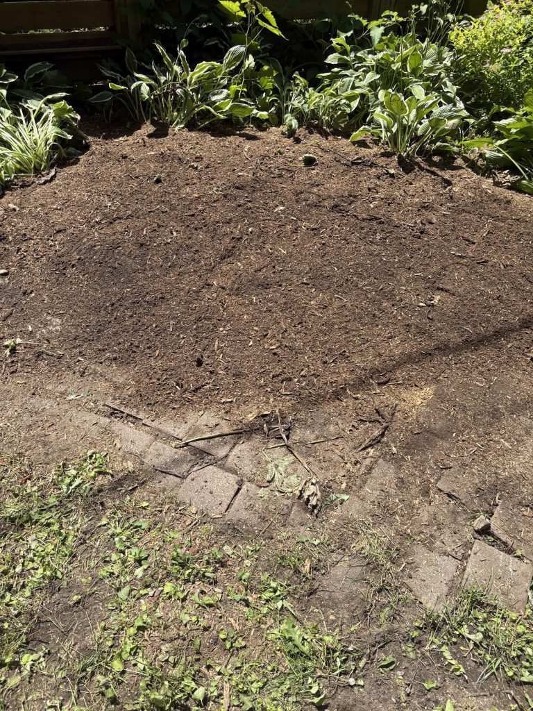 Garden bed cleared after stump grinding in Kemptville by Max Trees