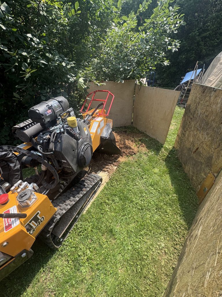 Stump grinding in Barrhaven by Max Trees