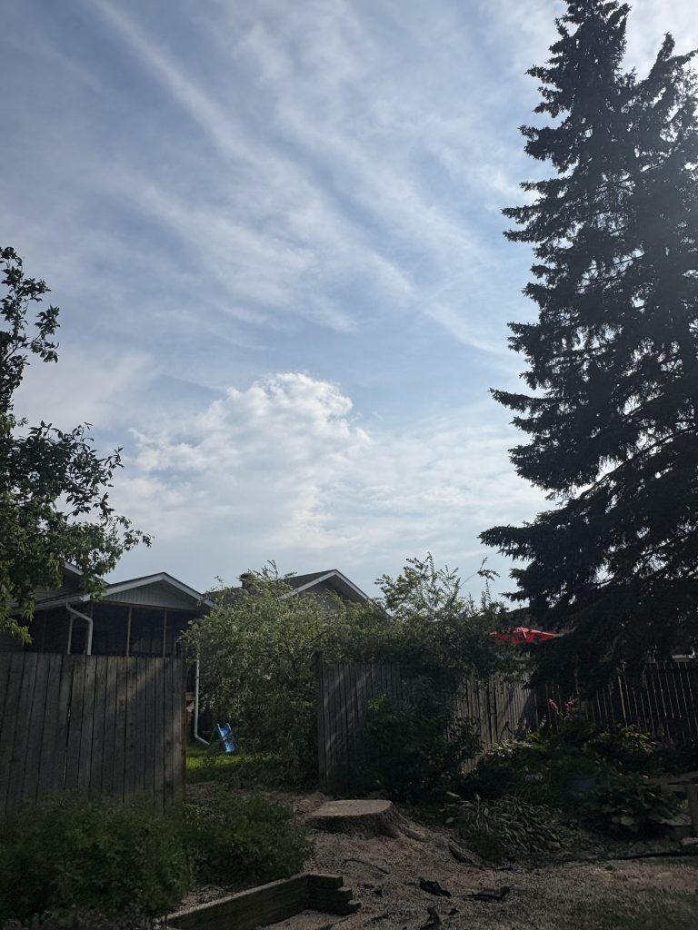 Yard cleanup after tree removal in Kanata by Max Trees
