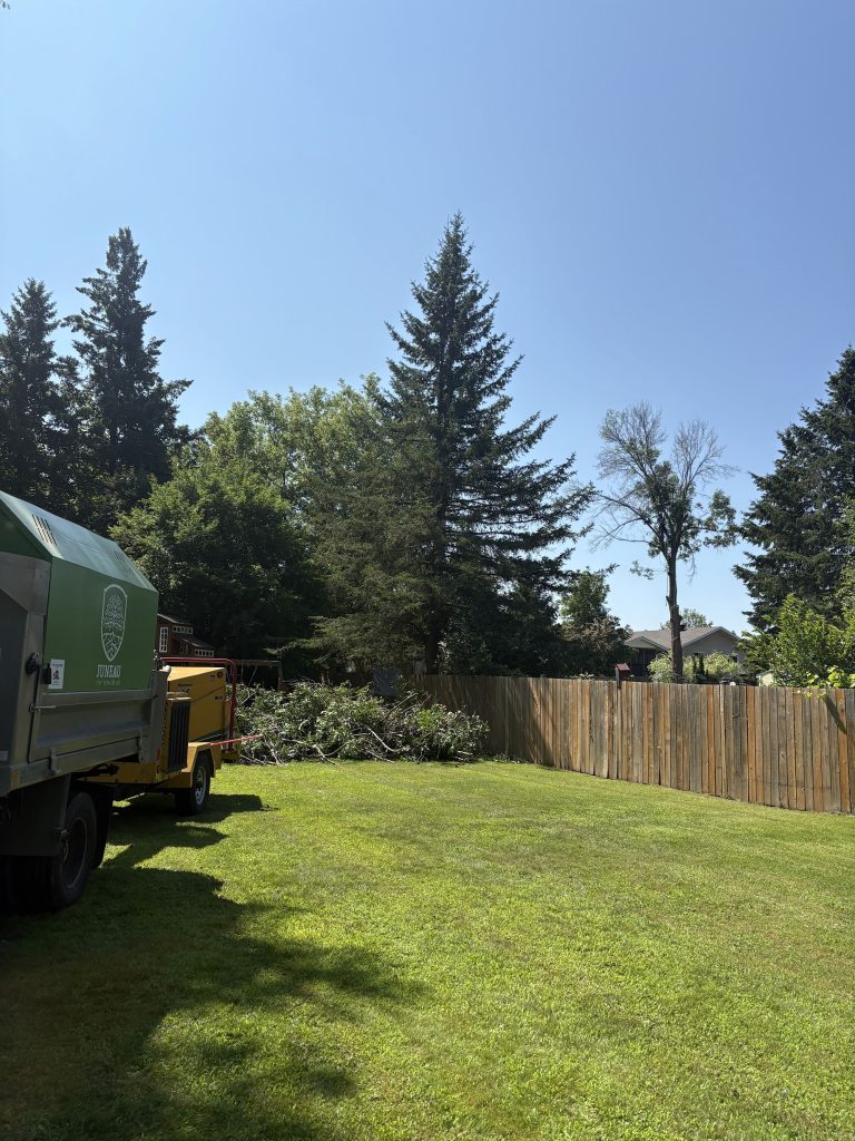 Tree service truck and equipment in Ottawa by Max Trees