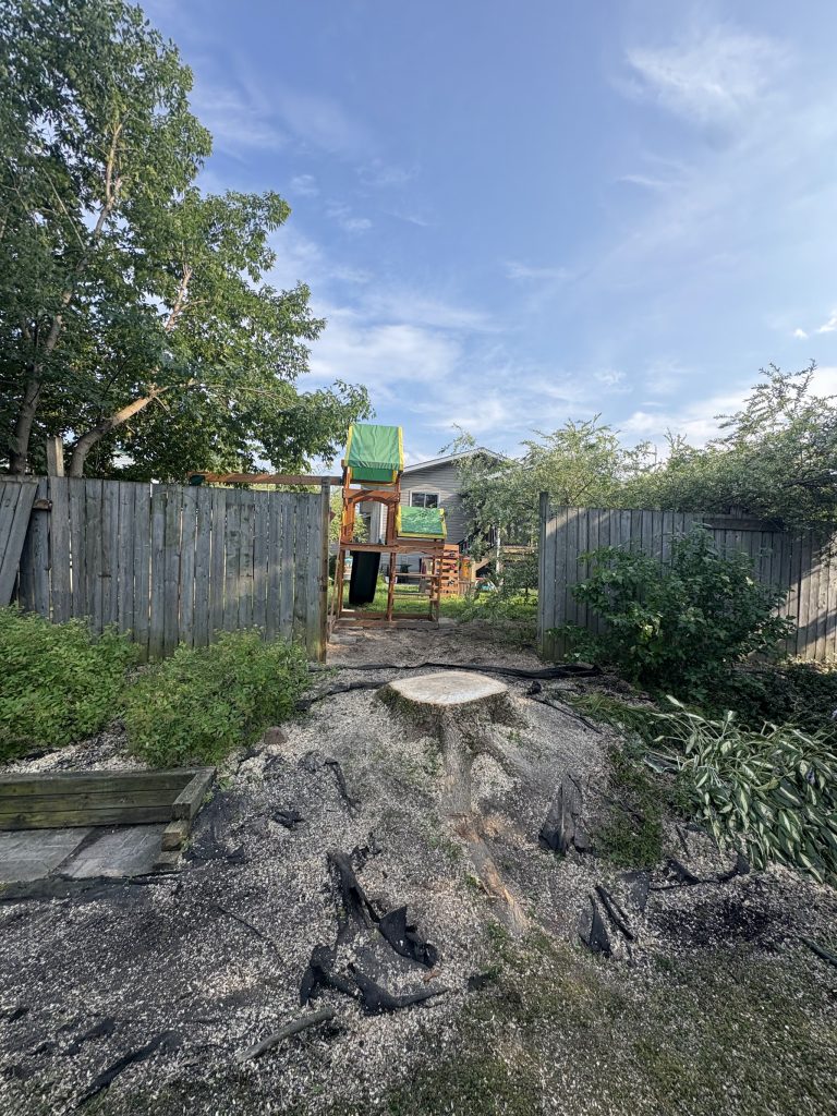 Freshly cut flush tree stump in an Ottawa backyard after sectional removal by Max Trees