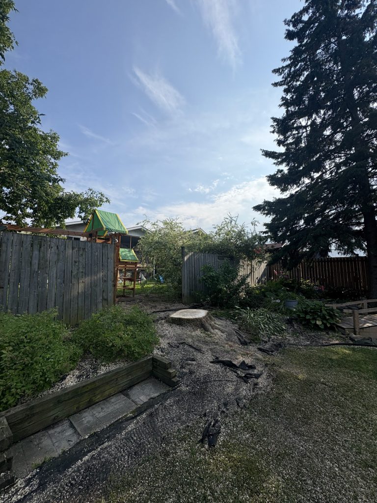 Tidy Ottawa backyard beside a wooden fence after Max Trees finished a tree removal