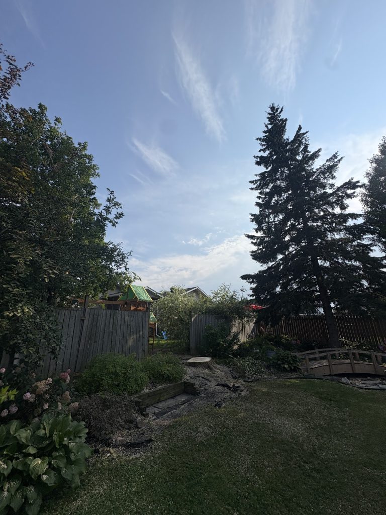 Ottawa backyard with open sky after Max Trees removed a large declining tree, lawn and garden beds undamaged