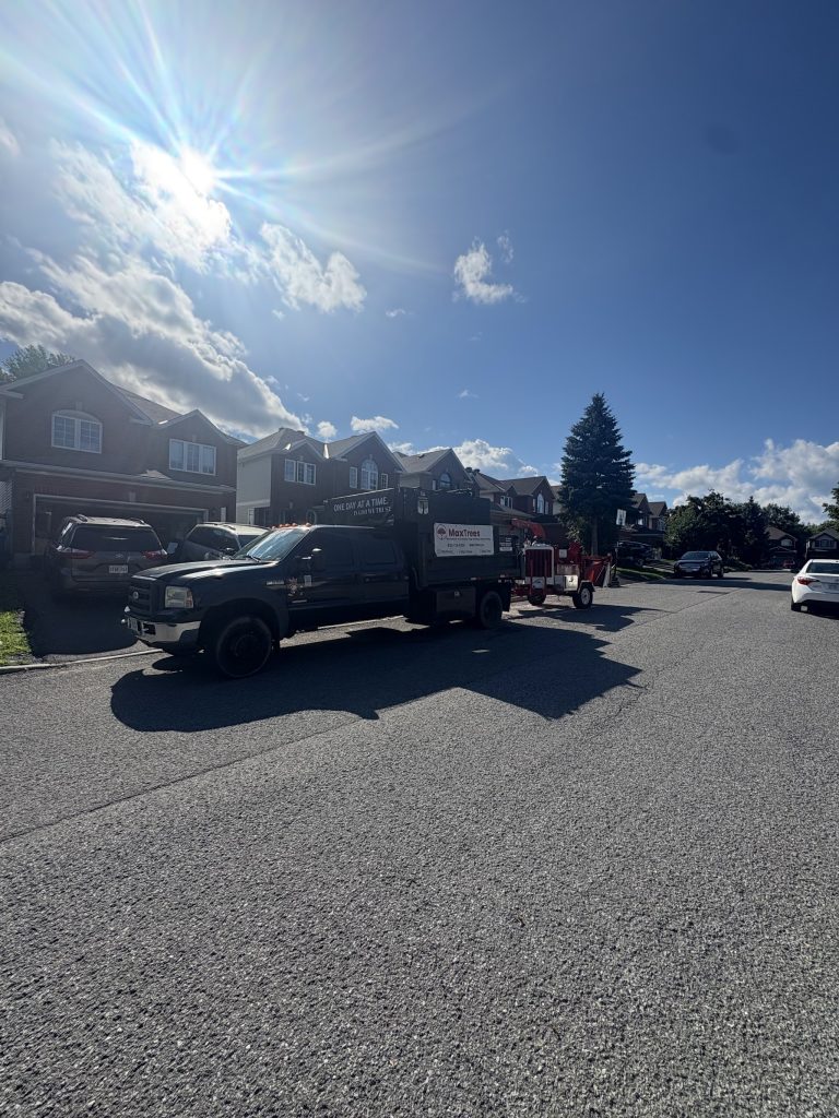 Max Trees black dump truck parked on a residential Ottawa street during a tree removal job